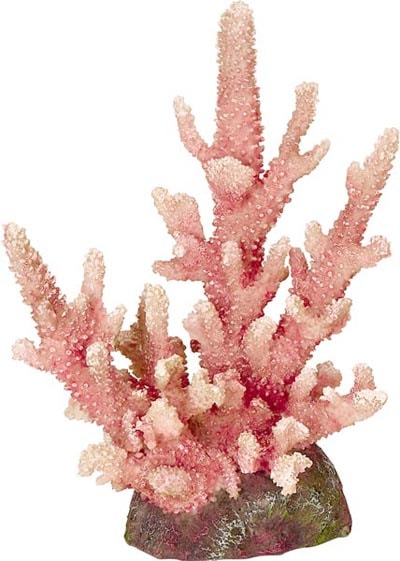 Pink Coral Sculpture - Globe Imports