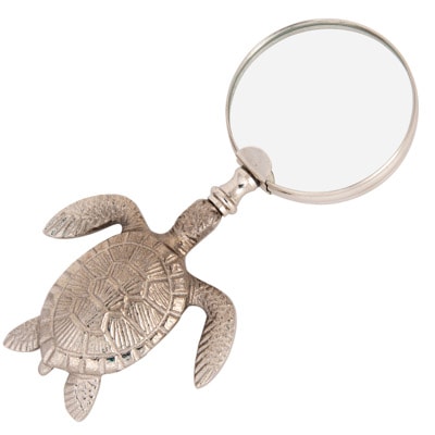 Sea Turtle Magnifier - Globe Imports